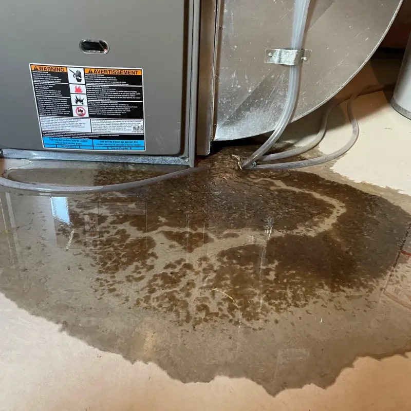 Appliance Leak Cleanup in Pleasant Grove, UT