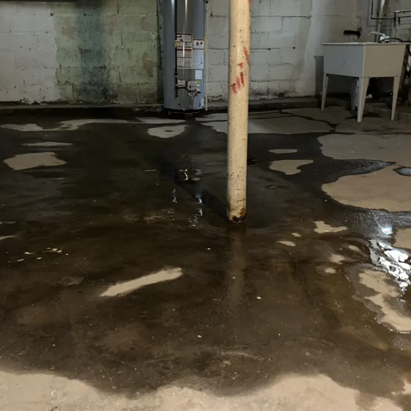 Emergency Water Extraction And Removal in Pleasant Grove, UT